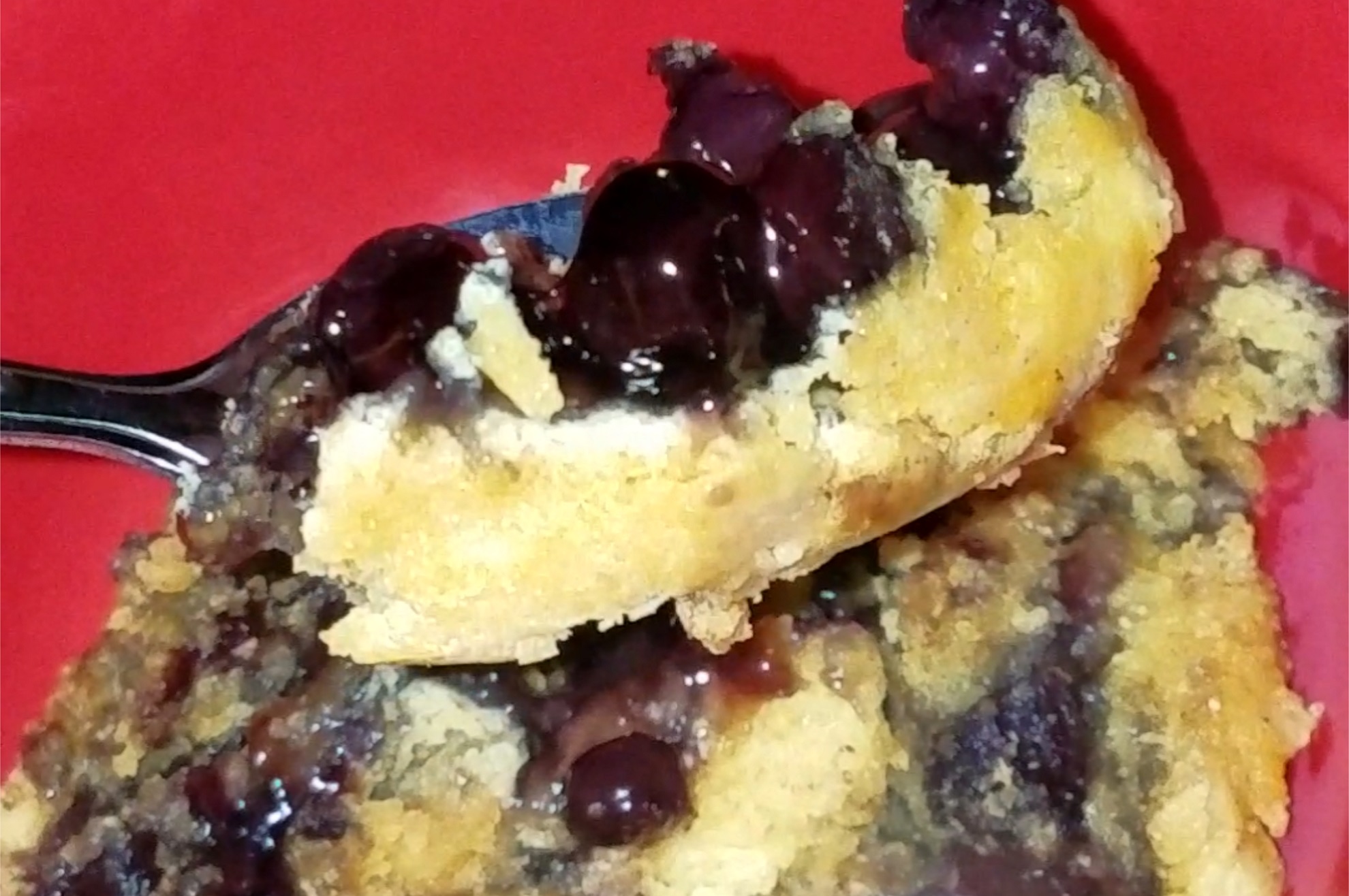 Easy Blueberry Cobbler in a Dutch Oven Pinch Of Smoke